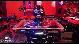 1679 bdsm porn videos